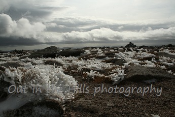 Snow crystals on Ben Macdui, on a guided hike from Aviemore in the Cairngorms